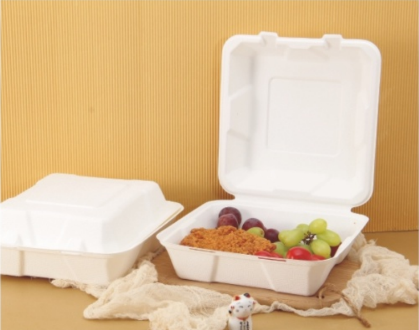 Biodegradable / sugarcane lunch / Take away box  from disposablesInc.com The best import service in China. Import your disposable items and products from us. 